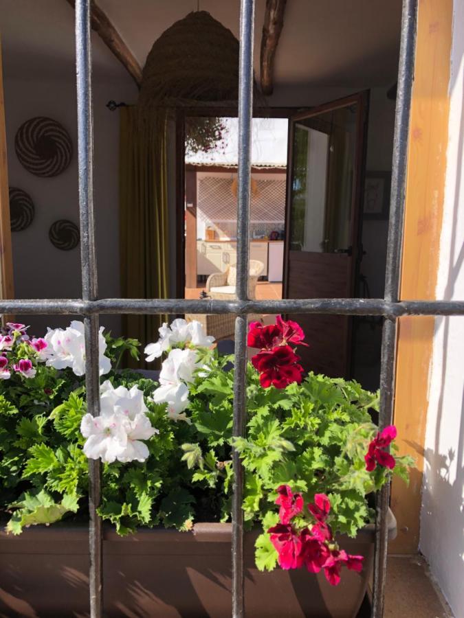 Bed and Breakfast Casa La Alegria 37 Villanueva de Tapia Екстер'єр фото
